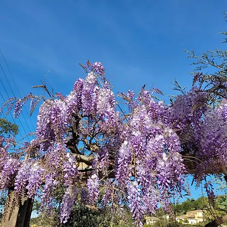 Dans En Rez De Jardin Apartment *