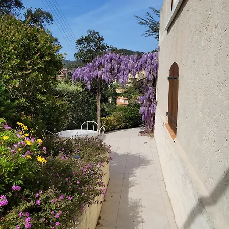 Dans En Rez De Jardin Hyeres