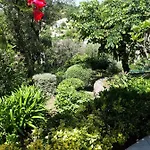 Dans En Rez De Jardin