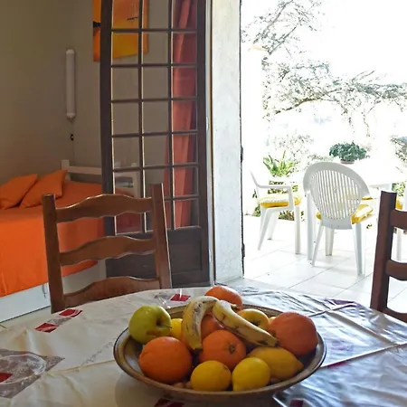 Dans En Rez De Jardin *