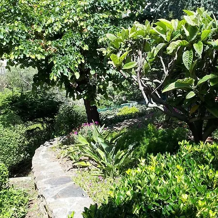 Lejlighed Dans En Rez De Jardin *