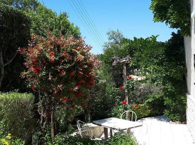 Dans En Rez De Jardin Hyères