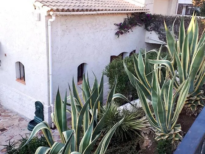 Dans En Rez De Jardin