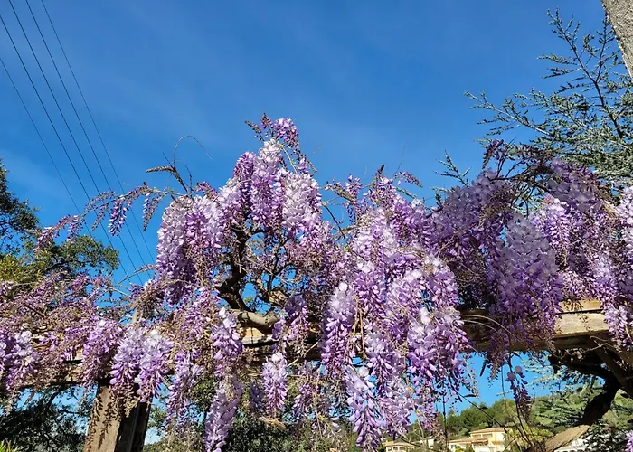 Dans En Rez De Jardin Апартаменты *