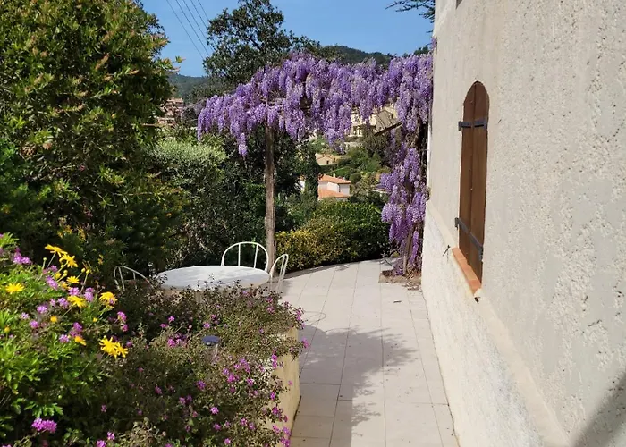 Dans En Rez De Jardin Йер