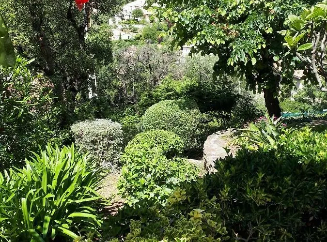 Dans En Rez De Jardin