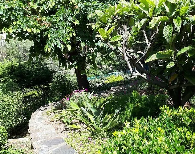 Апартаменты Dans En Rez De Jardin *